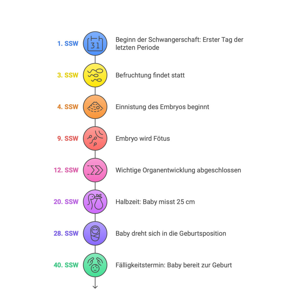 SSW Infografik